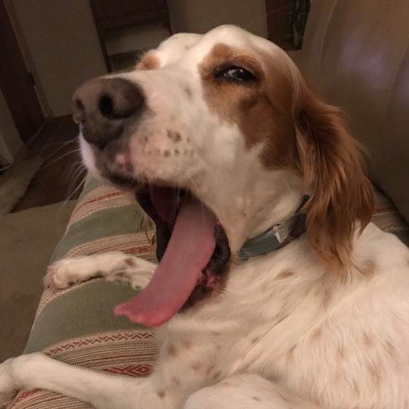 Meet your Posher, Kathy - Picture 1 of 2